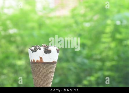 Gusto di latte al biscotto e alla panna in gelato in cono waffle disposto in un parco verde Foto Stock