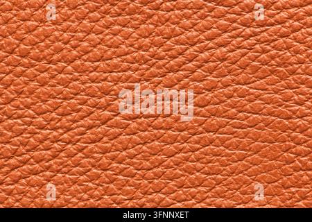 Macro dettagliata di una ricca superficie in pelle marrone ambrato con una texture granosa a ciottoli distinta e un motivo tattile smussato con una dimensione morbida Foto Stock