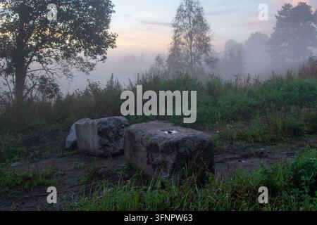 Fotografia atmosferica di paesaggio di campagna con grandi blocchi di cemento o pietre naturali che giacciono nell'erba in primo piano in una mattina nebbiosa. Spesso Foto Stock