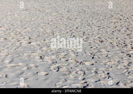 Spiaggia di sabbia bianca con molte impronte – Sfondo texture di sabbia tropicale caraibica Foto Stock