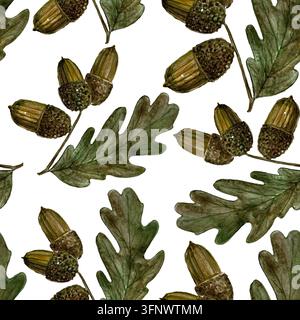 Modello botanico ad acquerello con acrone e foglie naturali. Per il tuo design Foto Stock