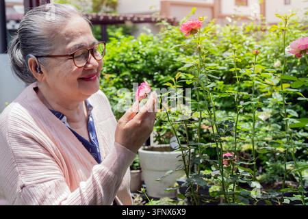 Donna asiatica anziana con occhiali che tiene e sorride a una bellissima rosa rosa nel suo giardino rigoglioso. Foto Stock