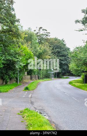 Strada tortuosa che si snoda dolcemente attraverso alberi verdeggianti. I bordi del sentiero di ghiaia si fondono con i bordi erbosi. Un cielo nuvoloso diffonde una luce soffusa. Villaggio o f Foto Stock