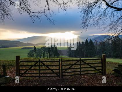 La luce del sole che si apre su colline ondulate e terreni agricoli attraverso un cancello di legno nelle Scottish Borders Foto Stock
