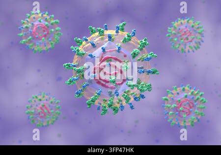 Virus dell'epatite C (HCV) - illustrazione isometrica 3D Foto Stock