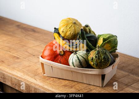 Zucca ornamentali colorate e piccoli zucche in un cesto di legno su un tavolo rustico, natura morta autunnale Foto Stock