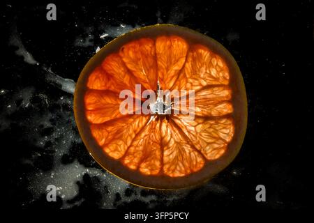 Fotografia macro di una singola fetta di frutto citrico fresco come arancia rossa o pompelmo, illuminata da dietro e isolata su uno sfondo scuro e suggestivo Foto Stock