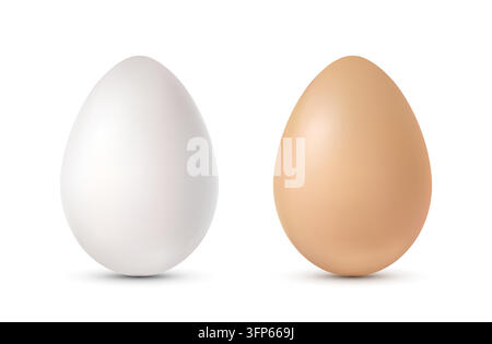 Due uova di gallina bianche e marroni su uno sfondo bianco. Illustrazione Vettoriale