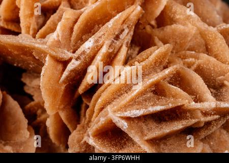Macro pietra minerale rosa del deserto o rosa di sabbia su sfondo nero primo piano Foto Stock