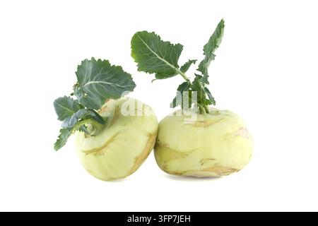 Due bulbi di kohlrabi verdi freschi con steli a foglia fotografati su sfondo bianco, che mostrano consistenza, freschezza e prodotti naturali perfetti per la cucina Foto Stock