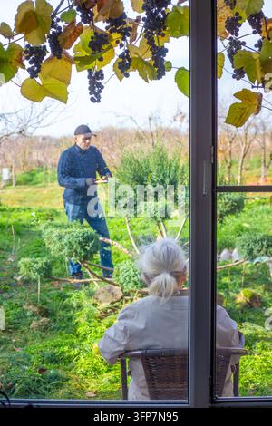 Una vista verticale dalla finestra che incornicia un uomo che lavora su arbusti di conifere nel giardino sul retro mentre una donna anziana riposa su una sedia. Stile di vita familiare attivo e sereno l Foto Stock