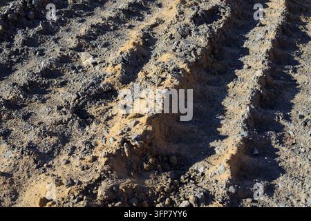 Profonde tracce di pneumatici nel terreno e nella terra sporca per il concetto di veicoli da cantiere e fuoristrada. Impronta strutturata del battistrada sulla terra secca in un edificio industriale Foto Stock