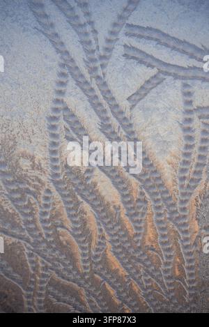 Disegni intricati di ghiaccio che creano uno sfondo astratto su una superficie di finestra fredda, evidenziando delicate formazioni di ghiaccio che ricordano foglie di felce e piume con tonalità blu fredde e arancioni calde Foto Stock
