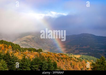 Viste autunnali della foresta di faggi di Tejera Negra a Guadalajara, Castilla-La Mancha, Spagna, con un bellissimo arcobaleno Foto Stock