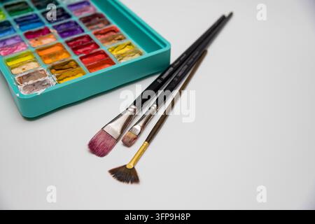 Palette di colori vivaci e pennelli da artista su sfondo bianco Foto Stock