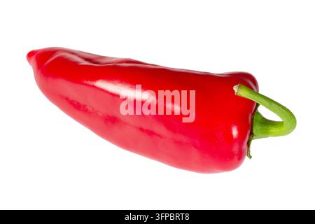 Peperone rosso isolato su sfondo bianco. Verdura biologica fresca per una nutrizione sana e per cucinare. Ingrediente per ricette culinarie e dieta. Foto Stock