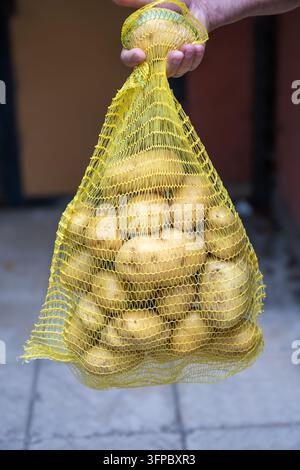 Una persona tiene in alto un sacchetto a rete giallo pieno di patate crude appena raccolte. Foto Stock