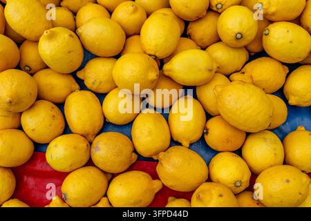 Una vista dall'alto di molti limoni gialli freschi che riempiono l'inquadratura. Foto Stock