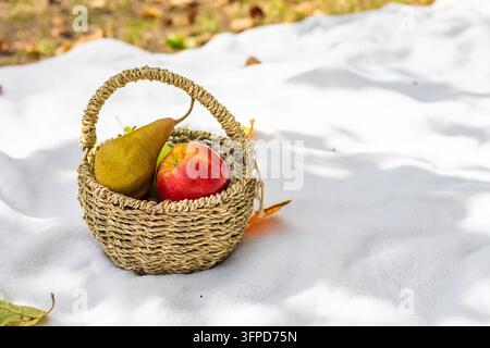 Piccolo cestino di vimini con pera e mela poggia su una coperta da picnic bianca spiegazzata sotto una luce soleggiata screziata. Toni caldi e texture morbida creano un'atmosfera autunnale accogliente Foto Stock