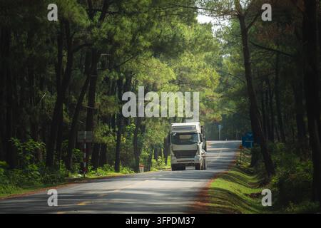 Camion merci che percorre una strada ombreggiata attraverso una foresta di pini, Cu Nam, Quang Tri, Vietnam Foto Stock