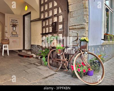 Bicicletta vintage decorata con fiori davanti a un negozio di antiquariato su Lai Street nella vecchia città di Tallinn, in Estonia. Foto Stock