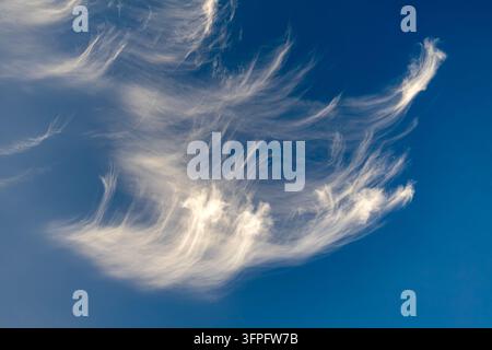 Formazioni nuvolose cirrus uncinus a forma di piuma che galleggiano su uno sfondo di cielo blu vibrante Foto Stock
