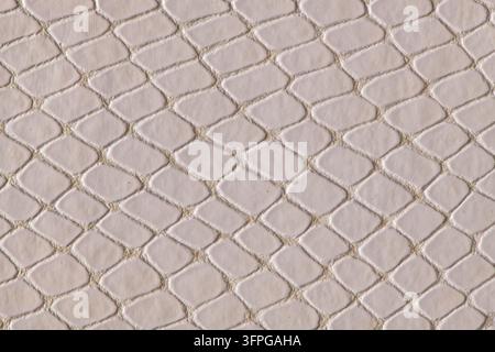 Fotografia ravvicinata di una superficie in pelle color crema con motivo a squama di serpente impresso sotto una luce studio soffusa. Foto Stock