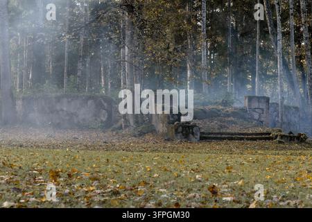 Foresta nebbiosa con rovine di pietra ricoperte di muschio in autunno Foto Stock