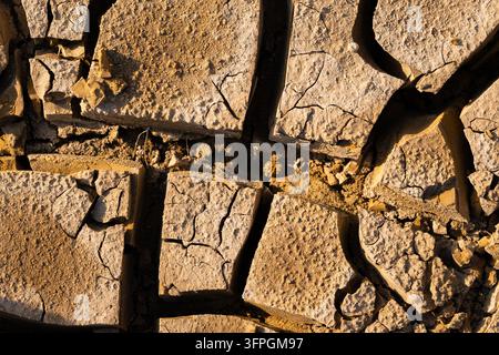 Terreno arido screpolato, che mostra gli effetti duri della siccità e del riscaldamento globale sulle terre agricole, rappresentando le sfide ambientali Foto Stock