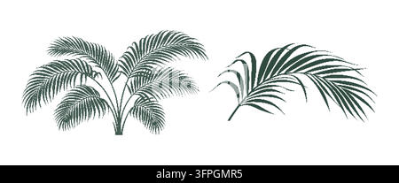 Set di illustrazioni vettoriali di foglie di palma e silhouette di cespugli in stile retrò puntinato Elemento di design Illustrazione Vettoriale