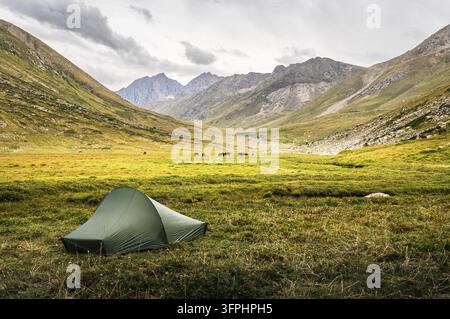 Tenda verde si erge solitaria in una vasta valle erbosa circondata da imponenti montagne. Il cielo è coperto, proiettando una luce soffusa sulla scena. Ak-Suu, J Foto Stock