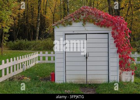 Capannone bianco coperto di viti rosse in un giardino verde Foto Stock