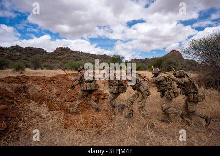 Soldati della compagnia Anzio, 1° Battaglione, Reggimento del Duca di Lancaster, entrano in un sistema di trincee mentre completano assalti di trincee simulati in un'area di addestramento militare durante l'esercizio Haraka Storm in Kenya, dove la fanteria dell'esercito britannico si allena per prepararli a un ruolo di alta prontezza della NATO. Data della foto: mercoledì 7 ottobre 2026. Foto Stock