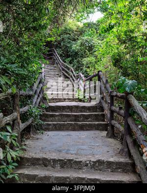 Scalinata di pietra scenografica con ringhiere rustiche in stile tronchi che si innalza attraverso una fitta vegetazione tropicale nelle Montagne di Marmo, Da Nang, Vietnam Foto Stock