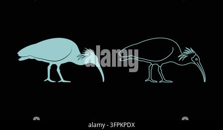 Icona minimalista di uccello ibis con silhouette e contorno di un uccello acquatico dal becco lungo Illustrazione Vettoriale