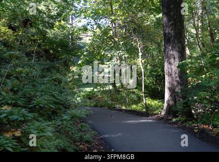 Un sentiero pedonale lastricato e tortuoso attraverso un parco boscoso denso e verdeggiante con grandi alberi maturi e un sottobosco lussureggiante Foto Stock