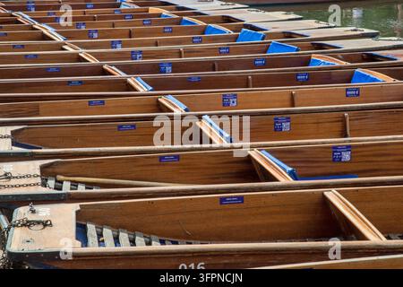 Una fila di barchette ormeggiate sul fiume Cam a Cambridge, Inghilterra Foto Stock