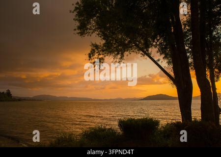 Tramonto sul lago Rotorua, Isola del Nord, Nuova Zelanda Foto Stock