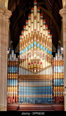 Pipiste d'organo stampate in blu, nella Cattedrale di Sant'Andrea a Sydney, Australia Foto Stock