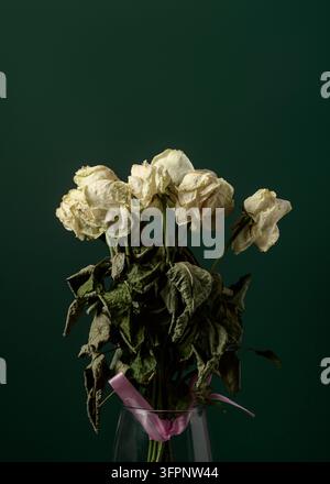 Mazzo di rose bianche essiccate con foglie verdi appassite in un vaso di vetro su uno sfondo verde scuro, simboleggiante il tempo e la memoria. Foto Stock