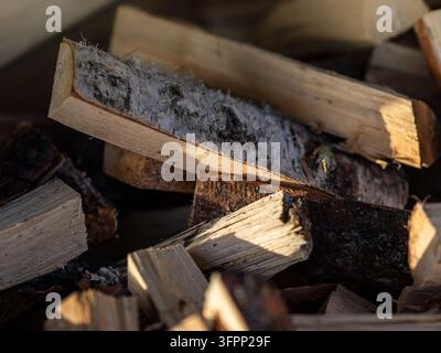 Prima di un mucchio di legna da ardere spaccata con corteccia di betulla e superfici di legno appena tagliate alla luce calda del sole, pronto per il riscaldamento o per una stufa a legna. Foto Stock