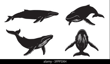 Silhouetti di balene jubarte in varie pose di nuoto insieme a una balena blu Illustrazione Vettoriale