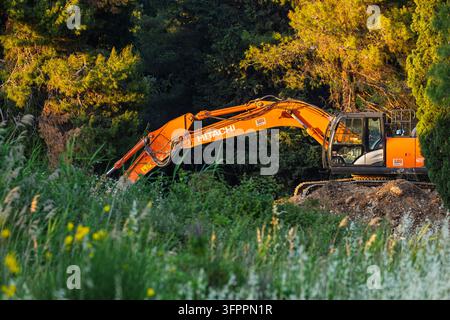 Escavatore Hitachi arancione in un cantiere ai margini della foresta circondato da alberi, erba e fiori selvatici nella calda luce dell'ora dorata, evidenziando il pesante m Foto Stock
