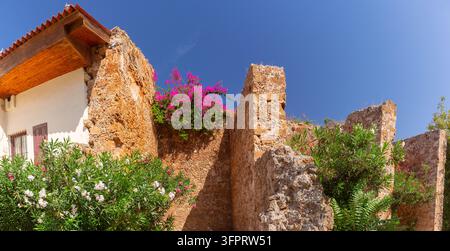 Mura di pietra storiche circondate da bougainvillea rosa in fiore e fiori di oleandro mediterraneo a Chania, Creta, Grecia, in una giornata estiva soleggiata. Vista panoramica dell'architettura tradizionale. Foto Stock