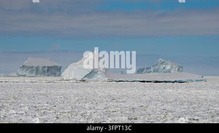 Ghiaccio marino e iceberg, Crystal Sound, Antartide Foto Stock