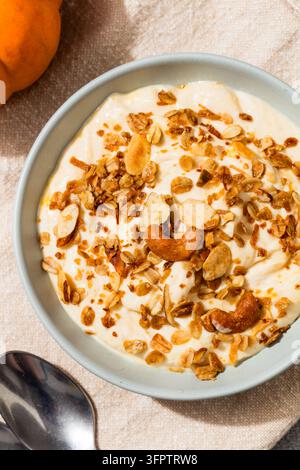 Yogurt alla spezia di zucca fatto in casa sano con granola per la colazione Foto Stock