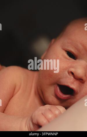 Ritratto ravvicinato di un neonato curioso Foto Stock