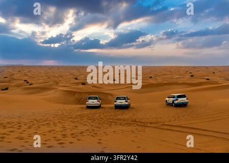 ABU DHABI, Emirati Arabi Uniti - 01 febbraio: safari nel deserto in Dubai Emirati Arabi Uniti. Traversata delle Dune da un 4x4 è una vettura molto popolari. Foto Stock