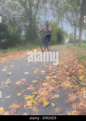 Un ciclista percorre un sentiero per cicli nebbioso coperto di foglie autunnali. Superfici bagnate e fogliame caduto possono aumentare il rischio di scivolamenti e incidenti Foto Stock