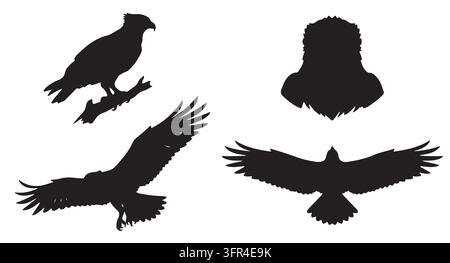 Set di silhouette di aquila nera che mostrano rapaci in volo e appollaiati Illustrazione Vettoriale